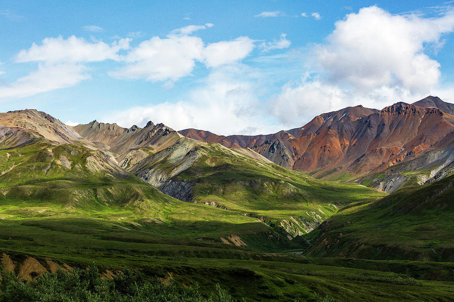 Colorful Landscape of Denali Photograph by Terri Morris - Fine Art America