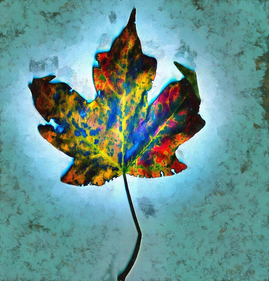 Colorful Leaf Mixed Media by Christopher Reed