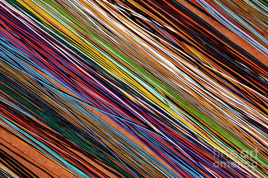 Colorful Leather Strips at Apt Market Photograph by Bob Phillips