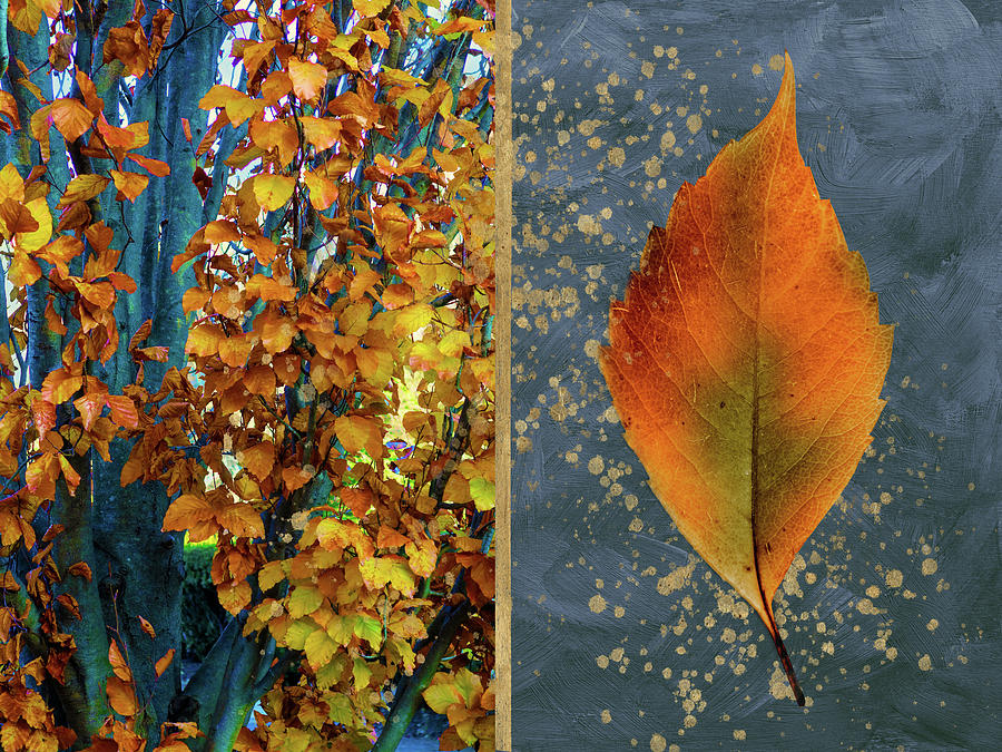 Nature Mixed Media - Colorful Leaves and Tree by Isabela and Skender Cocoli