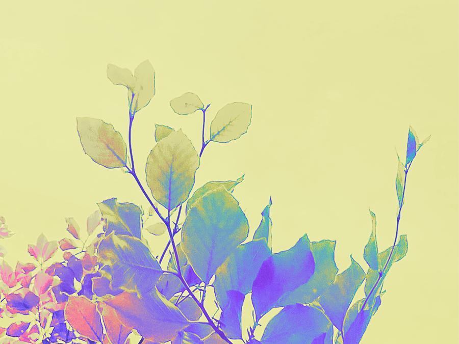 Colorful Leaves Digital Art by Itsonlythemoon
