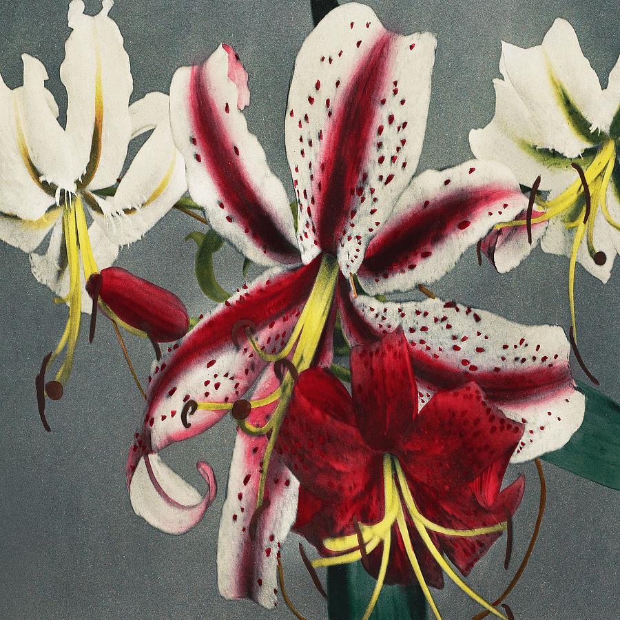 Colorful Lilies Traditional Japanese Flora Digital Art by Cozy Guru ...