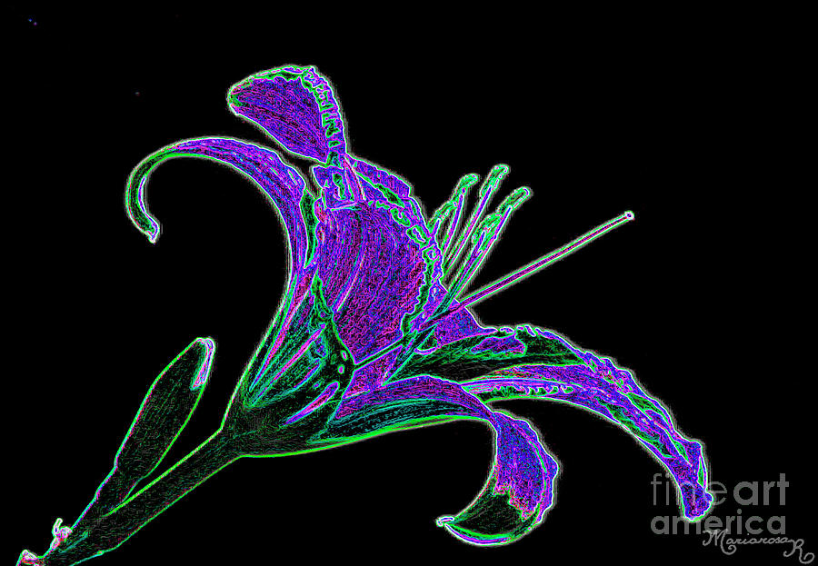 Colorful Lily Digital Art by Mariarosa Rockefeller