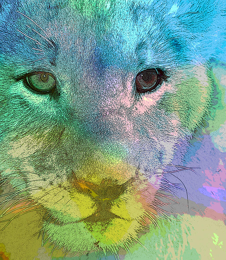 Colorful Lion Cub  Mixed Media by Shelli Fitzpatrick