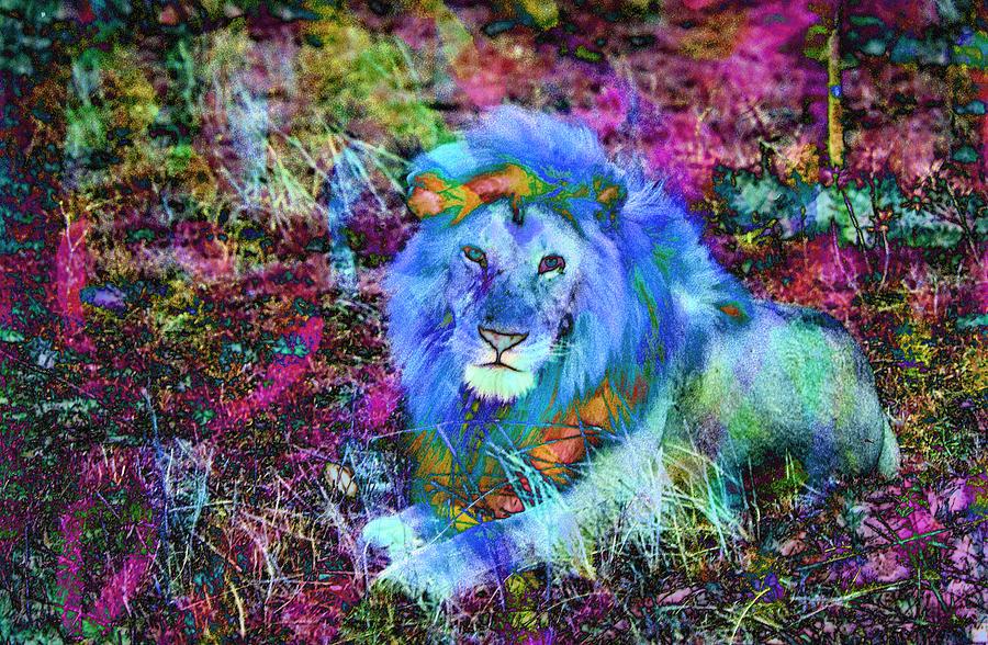 Colorful Lion King Digital Art by Russ Considine