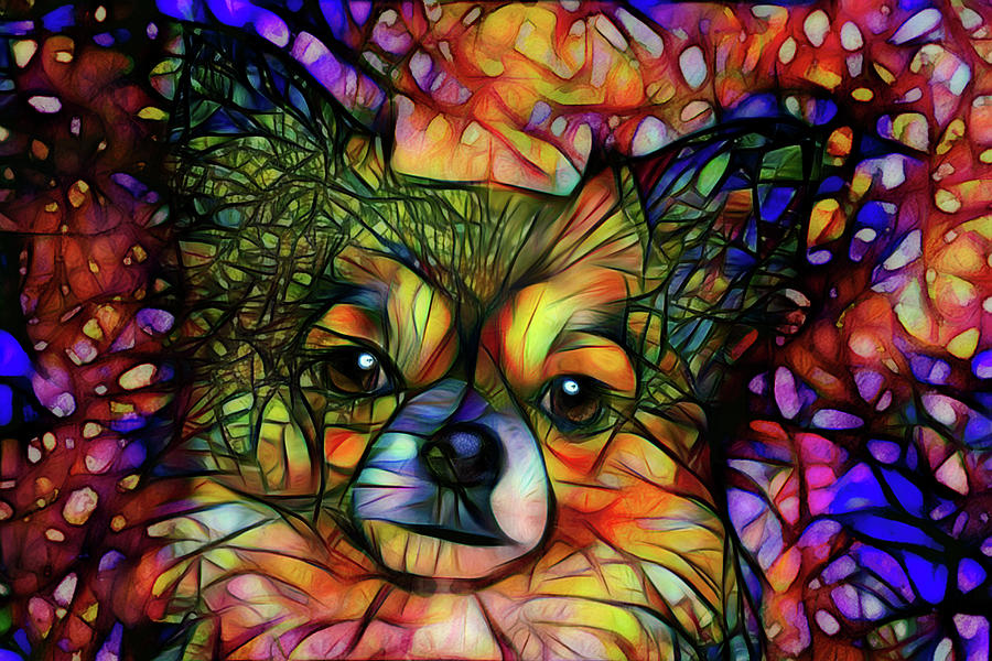 Colorful Long Haired Chihuahua Art Digital Art by Peggy Collins
