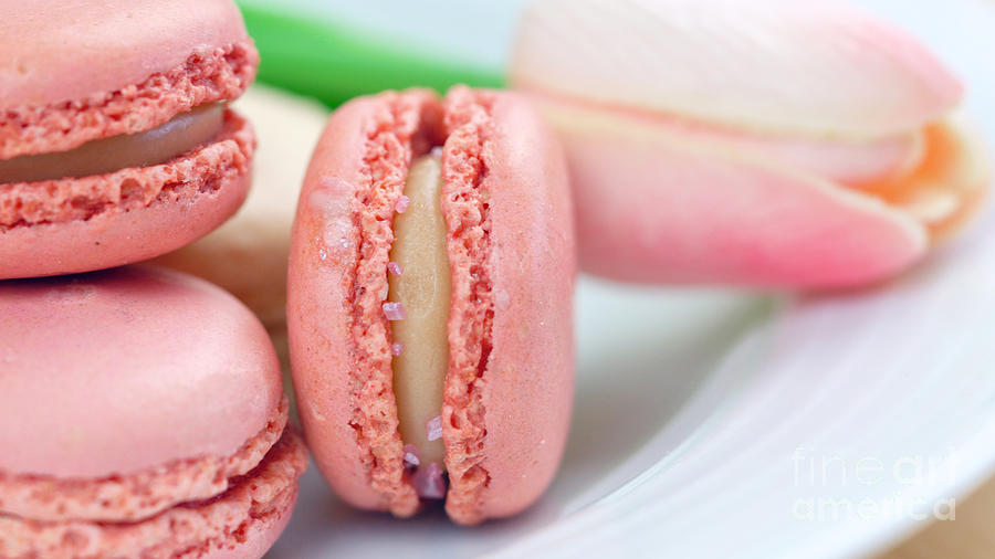 Colorful macaron cookies closeup. Photograph by Milleflore Images