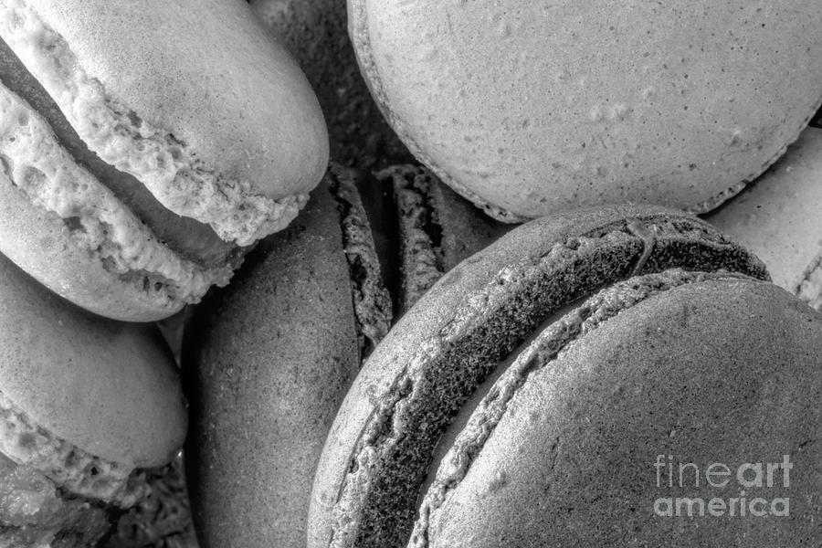 Cookie Photograph - Colorful Macarons Macro BW by Elisabeth Lucas