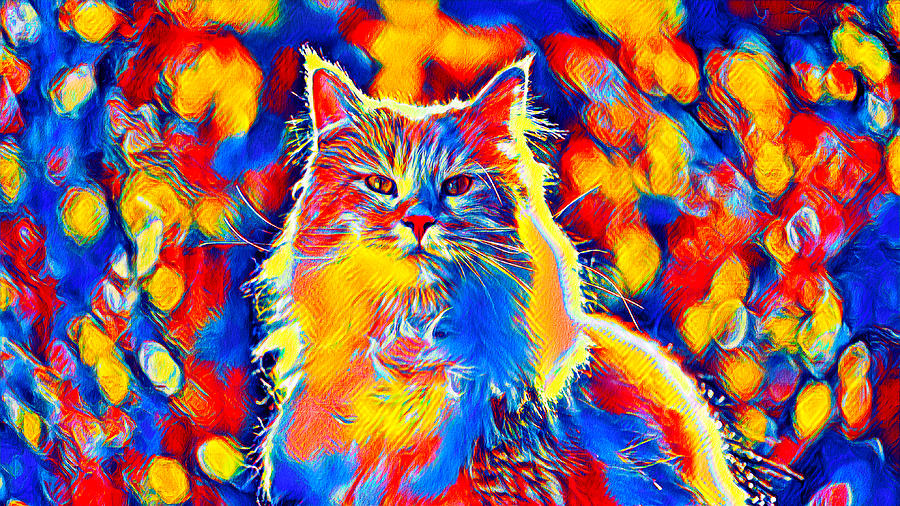 Colorful Maine Coon cat looking at camera in blue, red and orange Digital Art by Nicko Prints