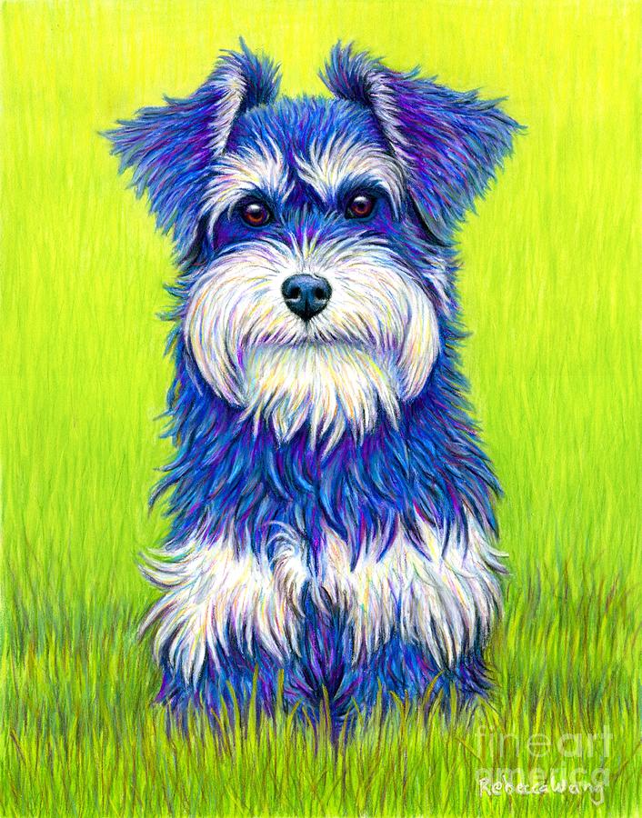 Colorful Miniature Schnauzer Dog Drawing by Rebecca Wang