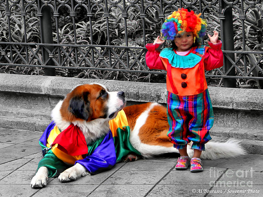 Colorful Mischief Photograph by Al Bourassa