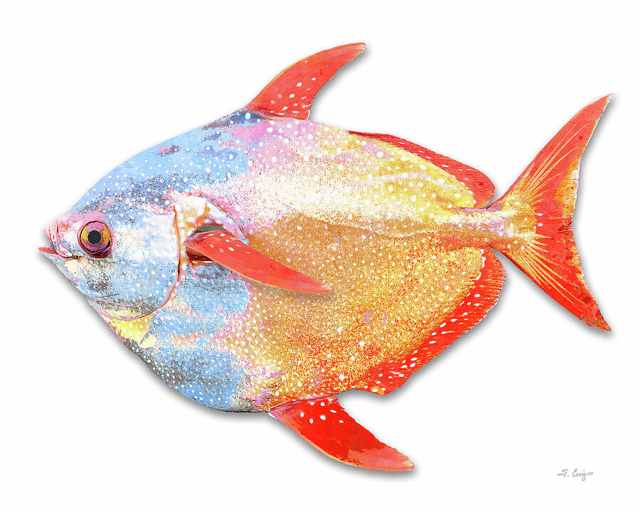 Colorful Moonfish Fish Art Painting by Sharon Cummings Colorful Moonfish Fish Art Painting by Sharon Cummings