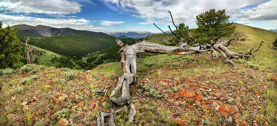 Colorful Mountain Range Idaho Photograph by Leland D Howard