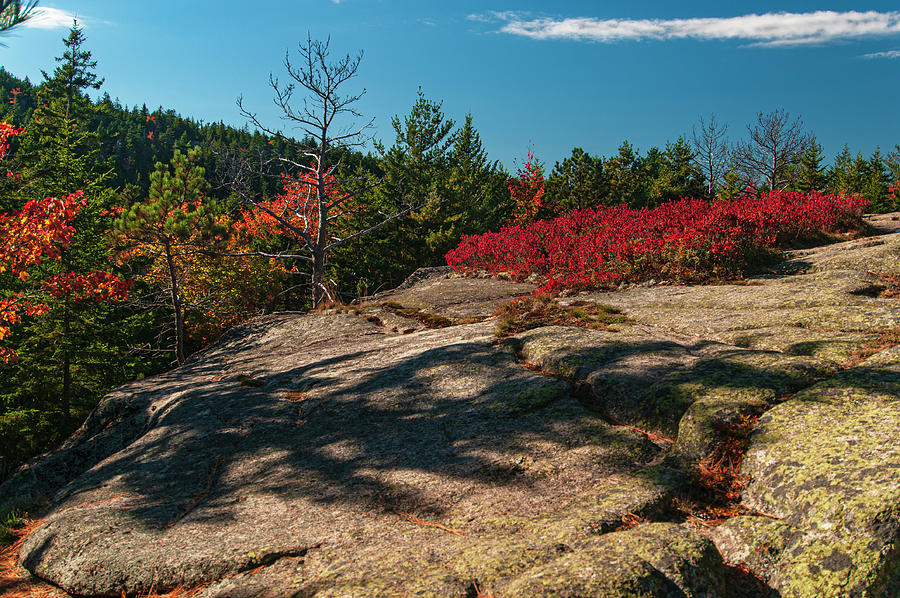 Colorful Mountain Top Photograph by Paul Mangold