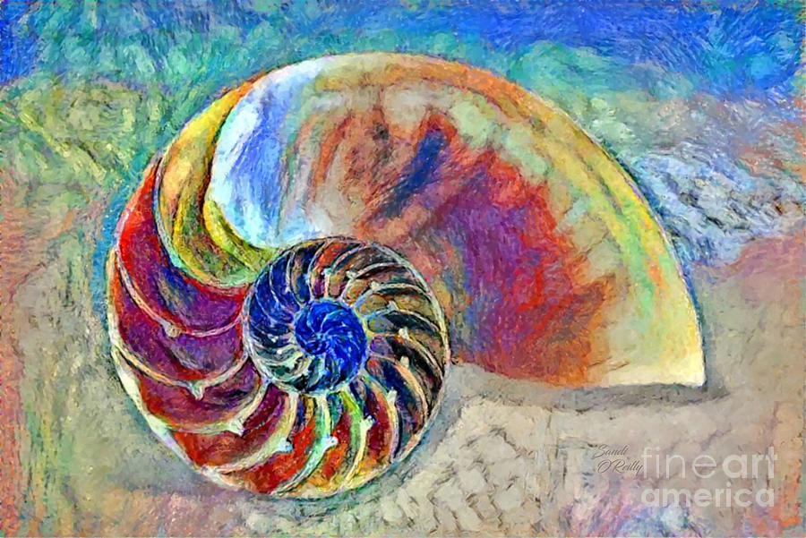 Colorful Nautilus Sea Shell Watercolor  Photograph by Sandi OReilly