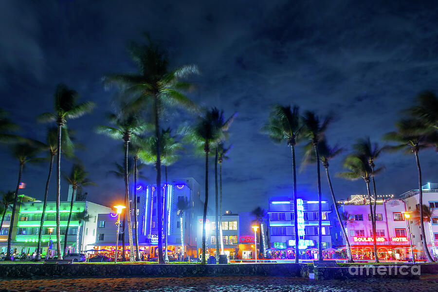 Colorful neon lights in Miami Beach at night, Florida Photograph by Delphimages Photo Creations