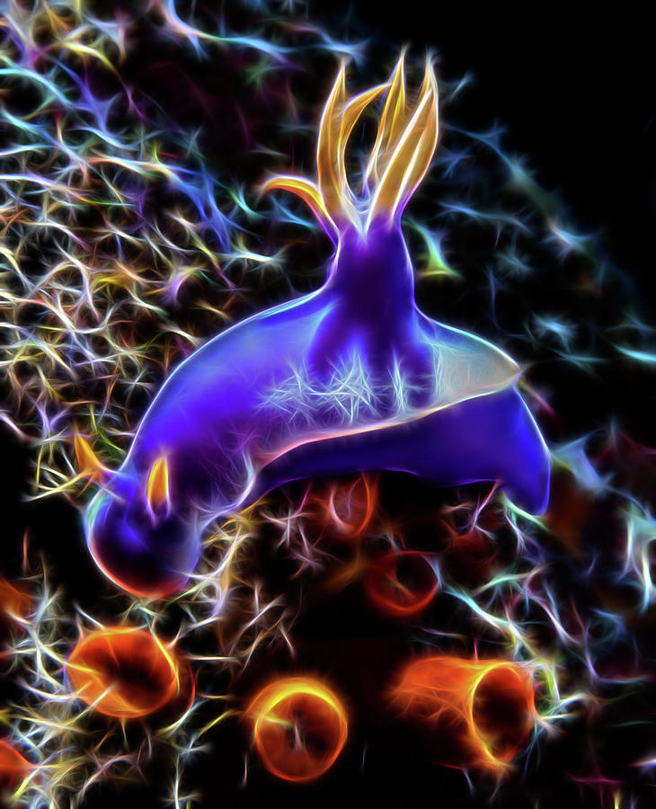 Colorful Nudibranch Fractalized Digital Art by Gary Hughes