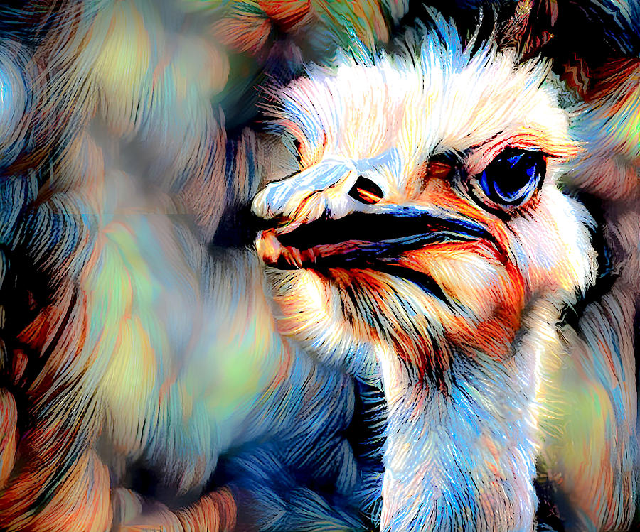 Colorful Ostrich Art  Photograph by Debra Kewley
