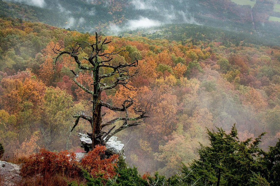 Colorful Overlook Photograph by James Barber