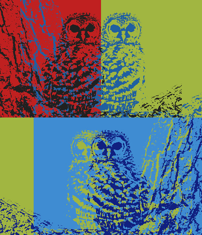 Colorful Owl Pop Art Digital Art by Dan Sproul