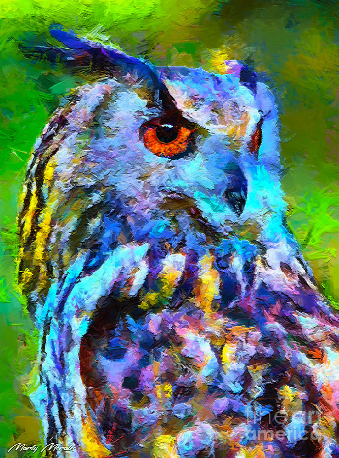 Colorful Owls V1 Mixed Media by Marty's Royal Art | Pixels