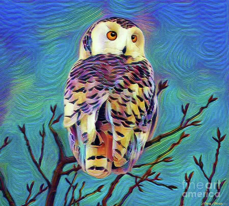Colorful Owls V4 Mixed Media by Martys Royal Art
