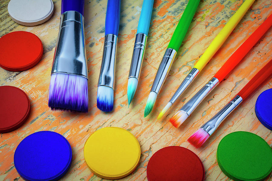 Brush Photograph - Colorful Paint Brushes And Paint Disks by Garry Gay