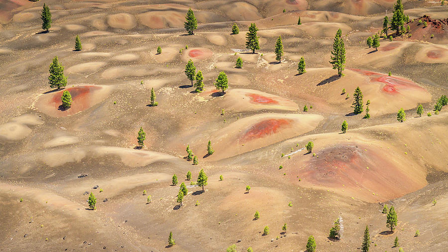 Lassen Volcanic National Park Photograph - Colorful Painted Dunes by Pierre Leclerc Photography