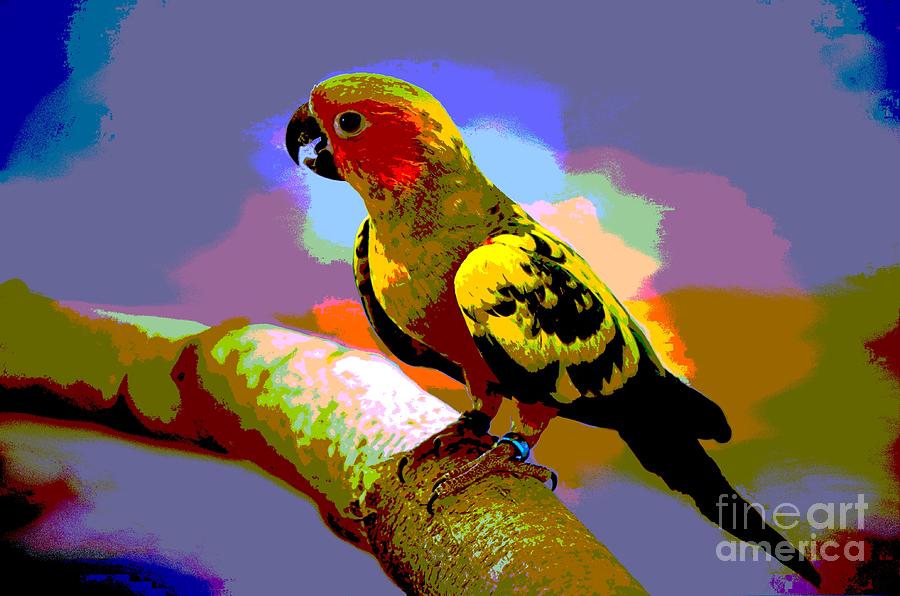 Colorful Parakeet Mixed Media