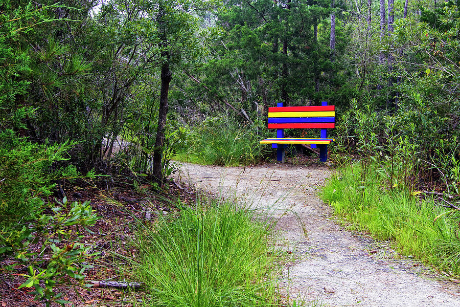 Colorful Park Bench on the Tideland Trail Photograph by Bob Decker