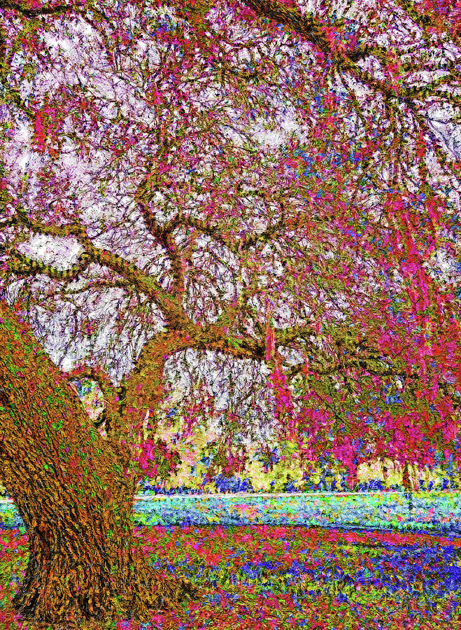 Colorful Park Tree Fairy Tale Painting by Dan Sproul