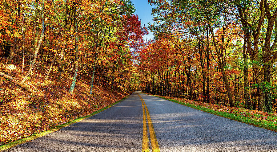 Colorful Parkway in Peaceful Virginia Photograph by Dan Carmichael