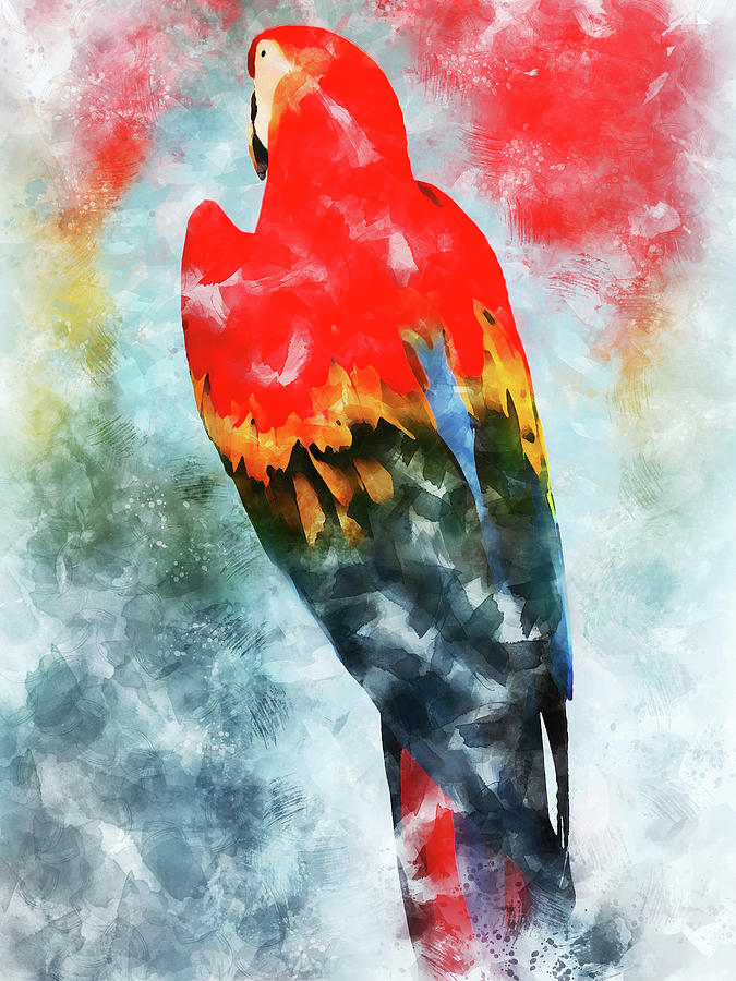 Colorful Parrot - 17 Painting by AM FineArtPrints