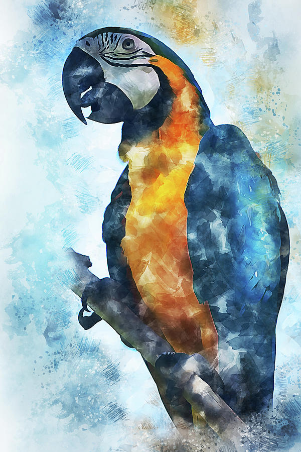 Colorful Parrot - 19 Painting by AM FineArtPrints