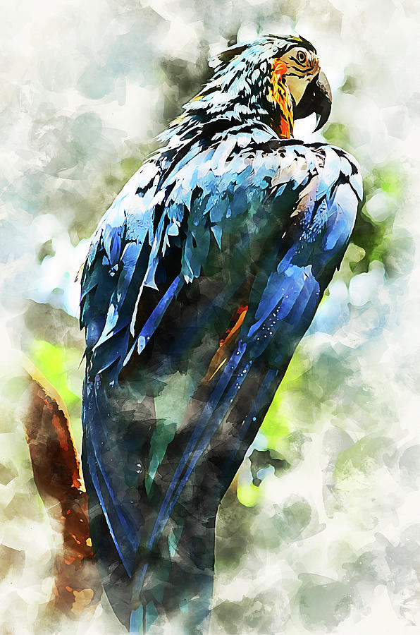 Colorful Parrot - 20 Painting by AM FineArtPrints