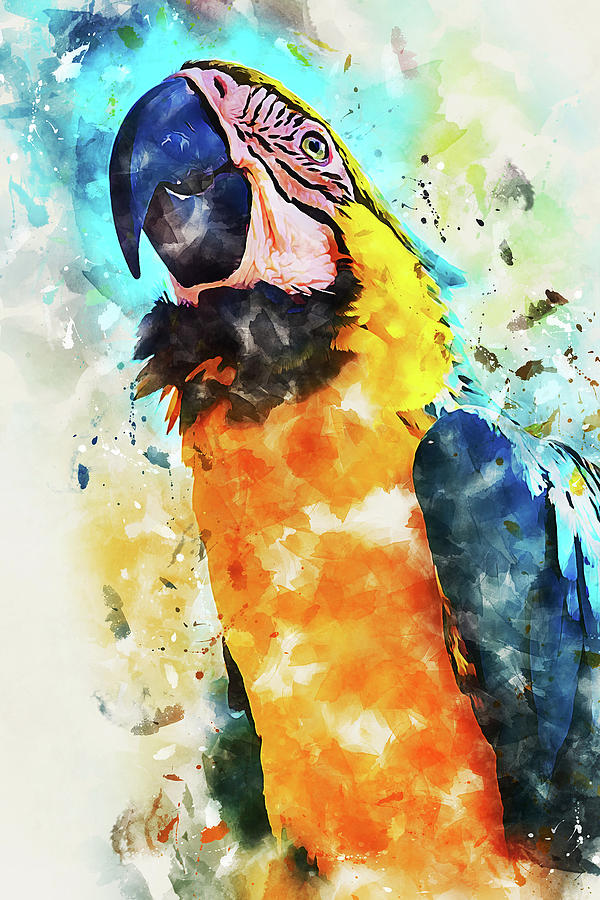 Colorful Parrot - 21 Painting