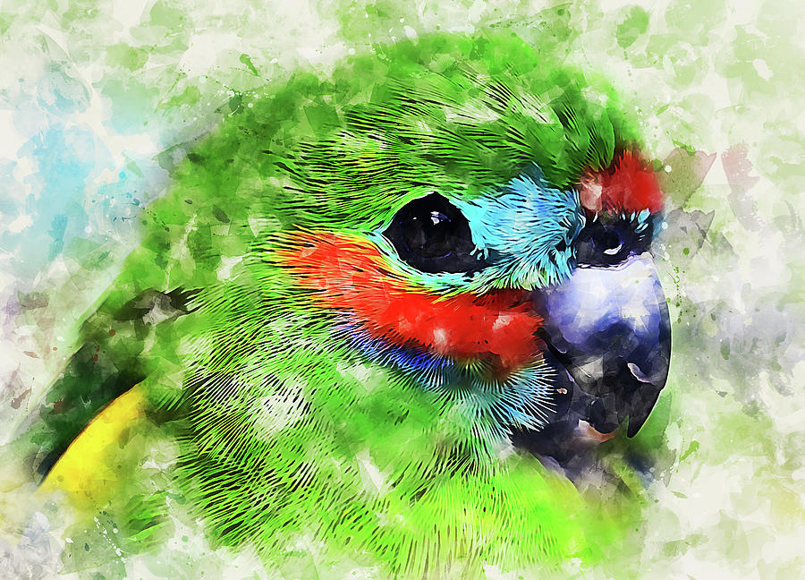 Colorful Parrot - 22 Painting by AM FineArtPrints