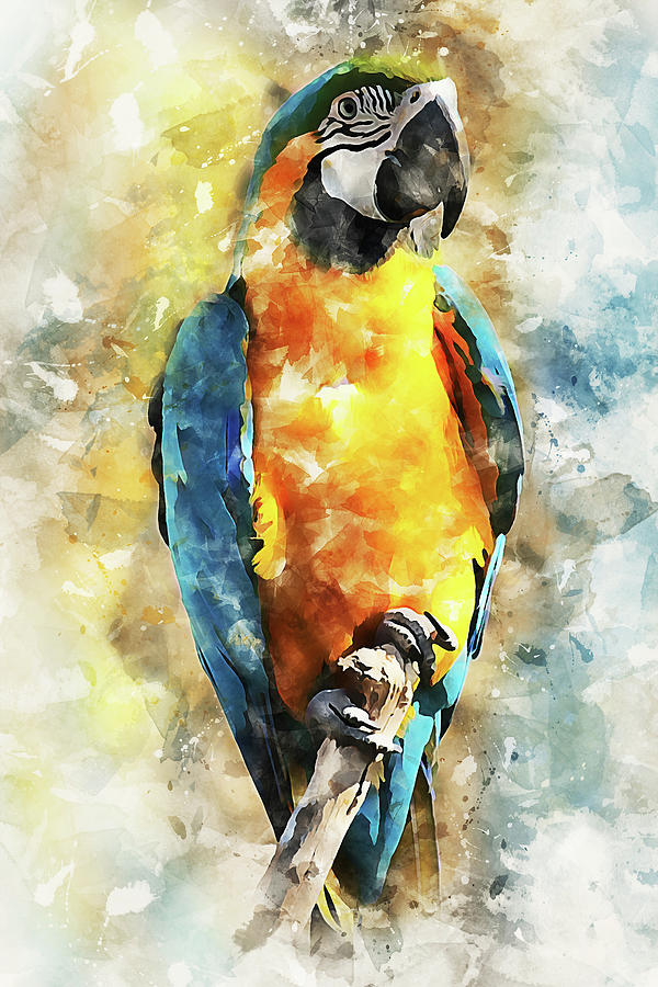 Colorful Parrot - 23 Painting by AM FineArtPrints