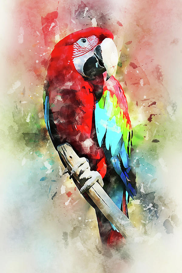 Colorful Parrot - 24 Painting by AM FineArtPrints