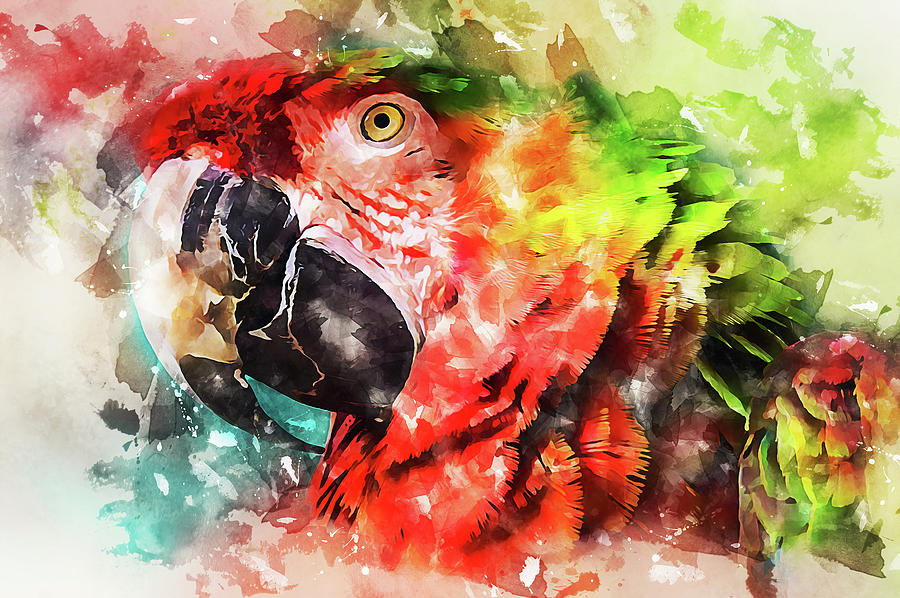 Colorful Parrot - 25 Painting by AM FineArtPrints
