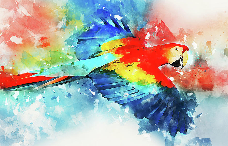 Colorful Parrot - 26 Painting by AM FineArtPrints