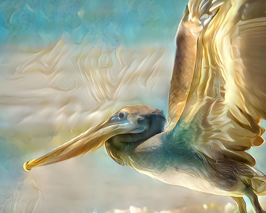 Colorful Pelican Art Mixed Media by Debra Kewley