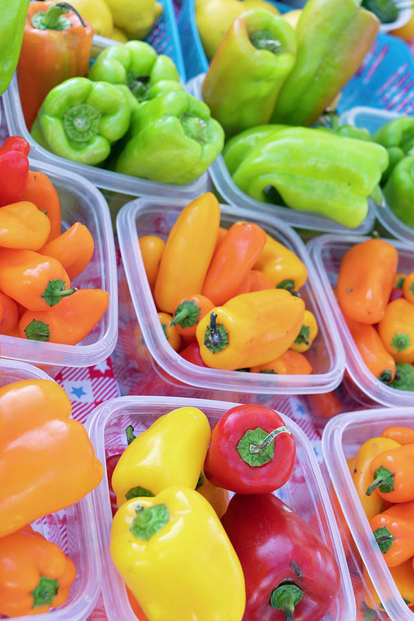 Colorful Peppers Photograph