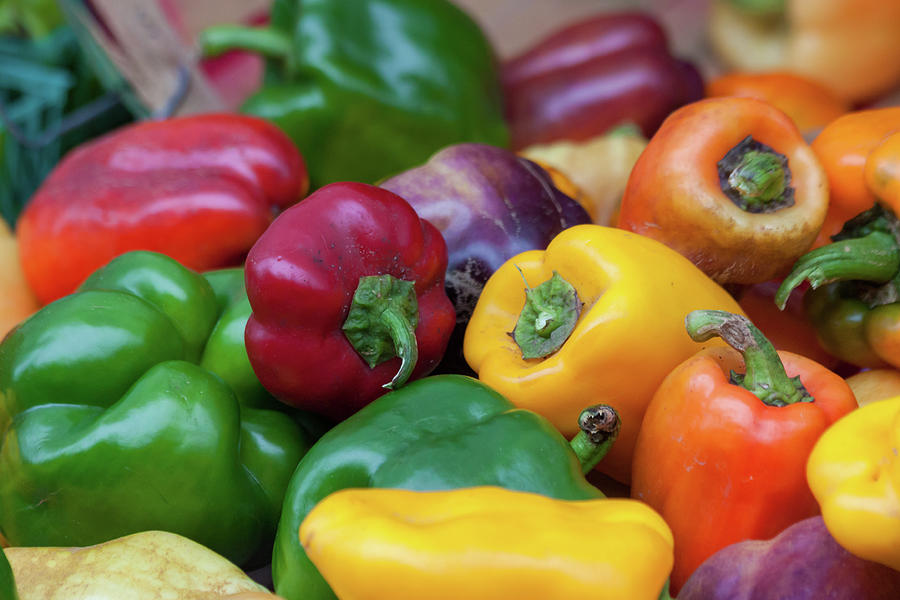 Colorful Peppers Photograph by Lauri Novak