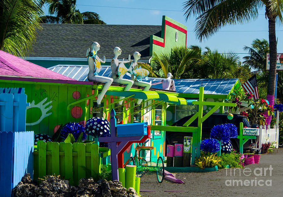 Colorful Pine Island Florida Photograph by L Bosco