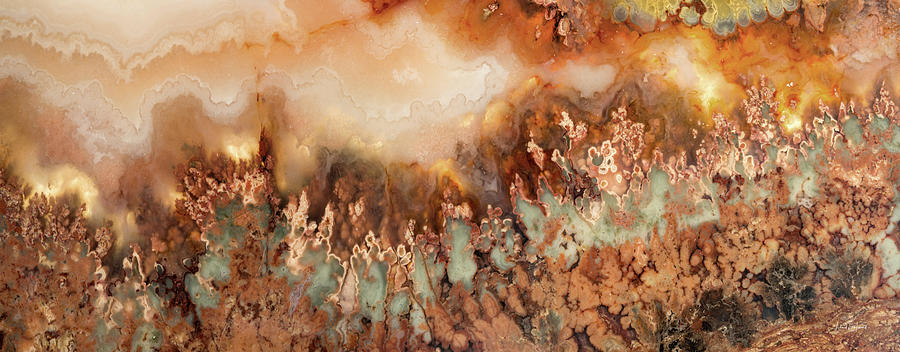 Colorful Plume Agate Photograph by Leland D Howard