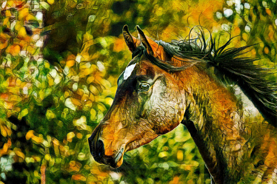 Colorful portrait of a thoroughbred horse in brown and green Digital Art by Nicko Prints
