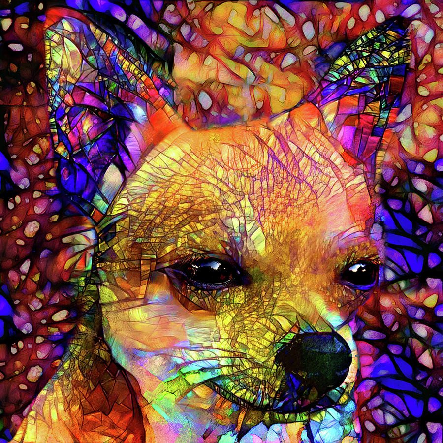 Colorful Psychedelic Chihuahua Art Digital Art by Peggy Collins
