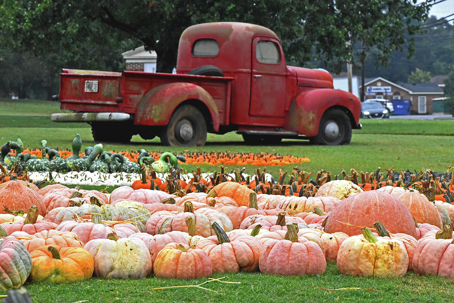 Colorful Pumpkins And An Old Truck 001 Photograph by George Bostian