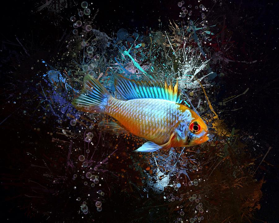 Colorful Ram Cichlid Aquatic Portrait Digital Art